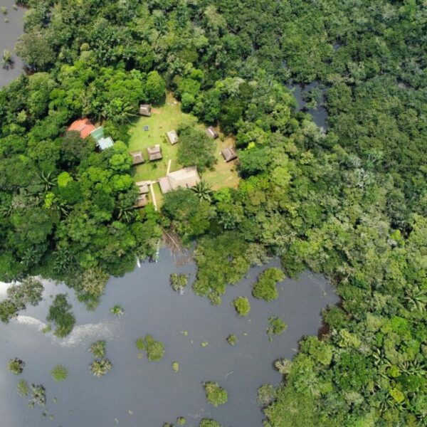 Descubra la reserva de fauna Cuyabeno:   Un paraíso en la Amazonia ecuatoriana.