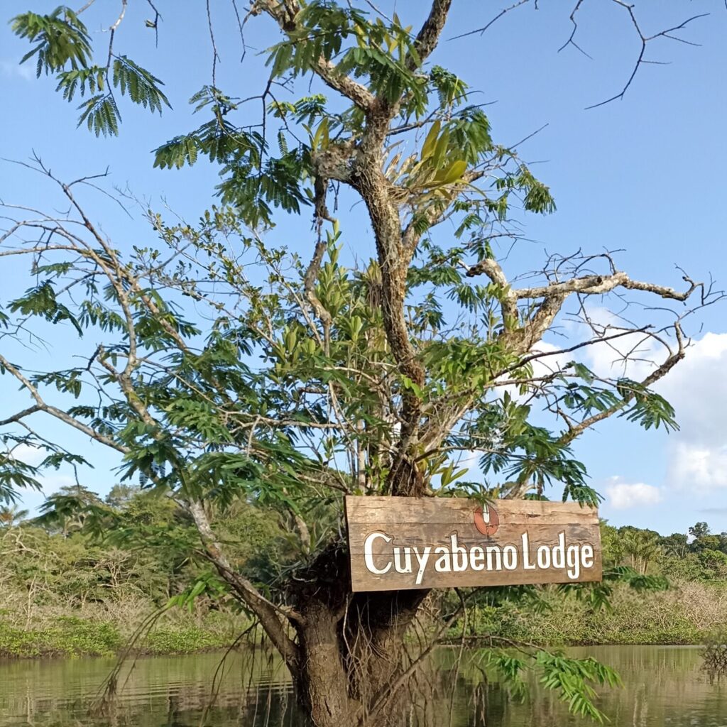 El clima de la selva amazónica ecuatoriana:  Una fascinante interacción entre el tiempo y la naturaleza.