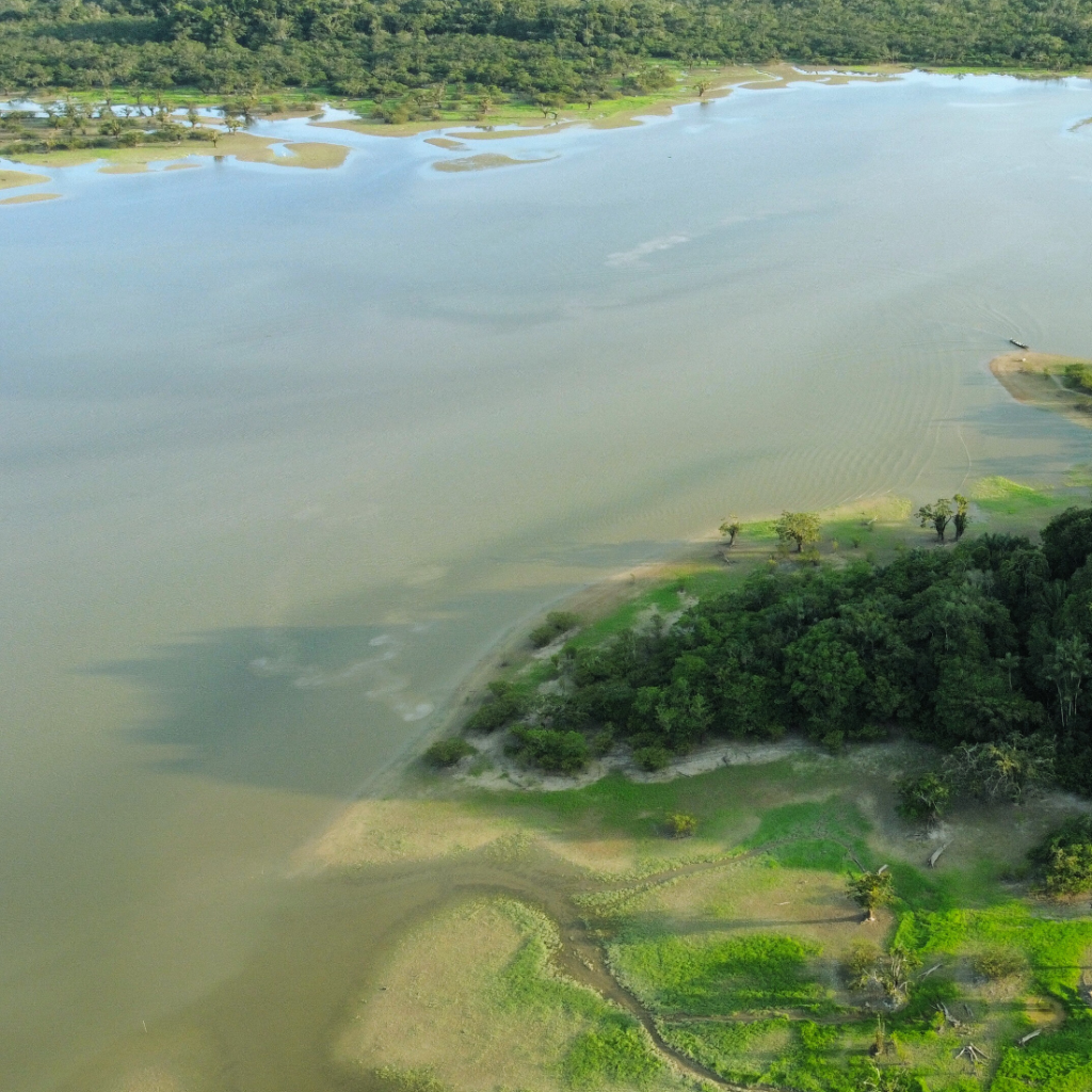 Descubre la reserva de Cuyabeno: Una aventura oculta en la estación seca.