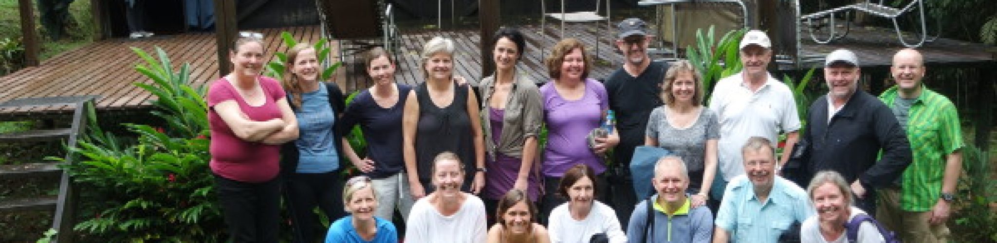 A part of the dentist